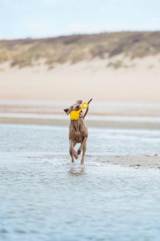 Preview: Fliegende Boje (schwimmfähig)